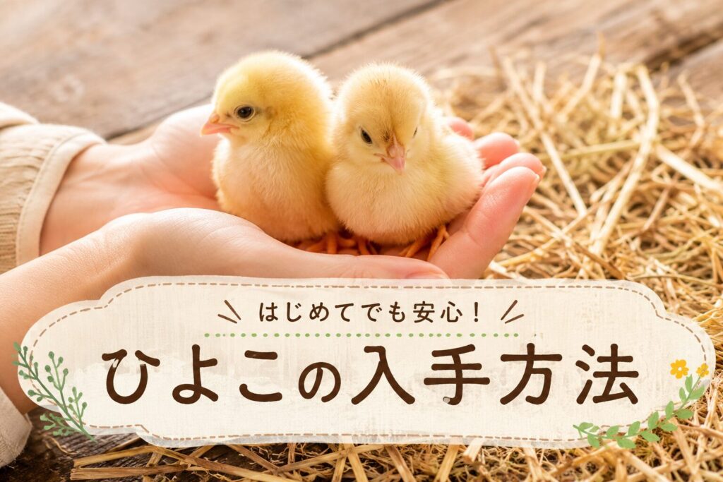 ひよこの手に入れ方——購入・自家孵化の方法